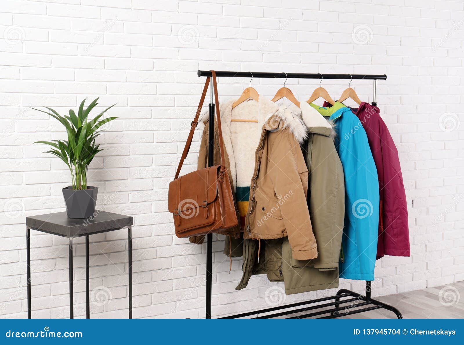 Stylish Hallway Interior with Clothes Stock Photo Image of decor