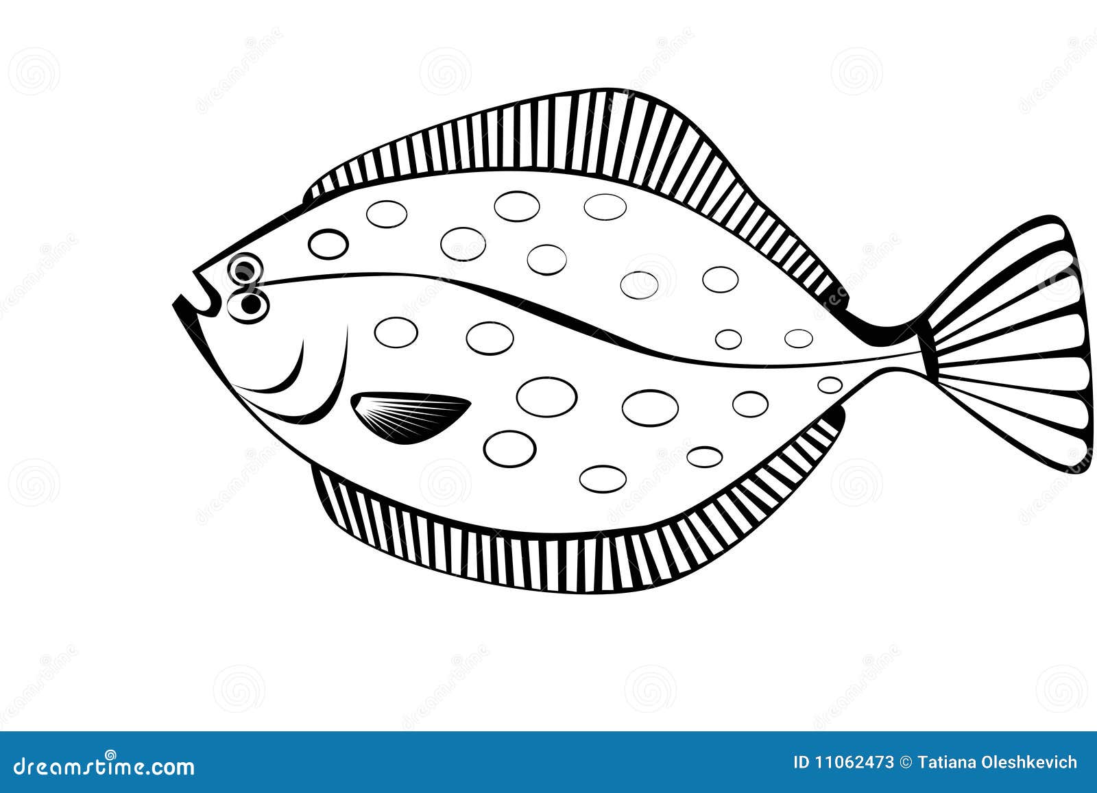 Stylish Illustration of Flounder Isolate Stock Illustration Illustration of river, beach 11062473