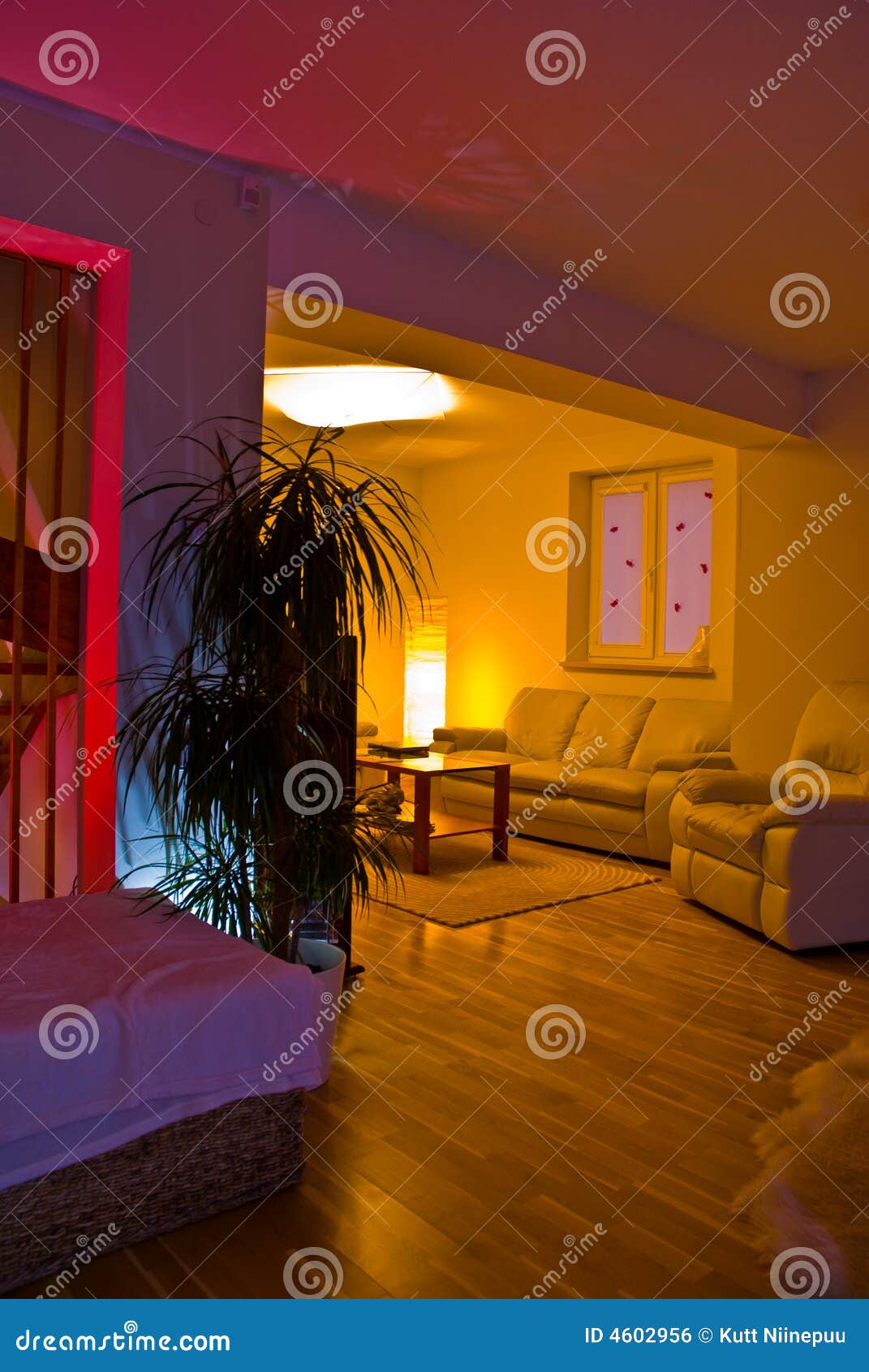 Stylish living room stock photo. Image of indoors, furnishings 4602956