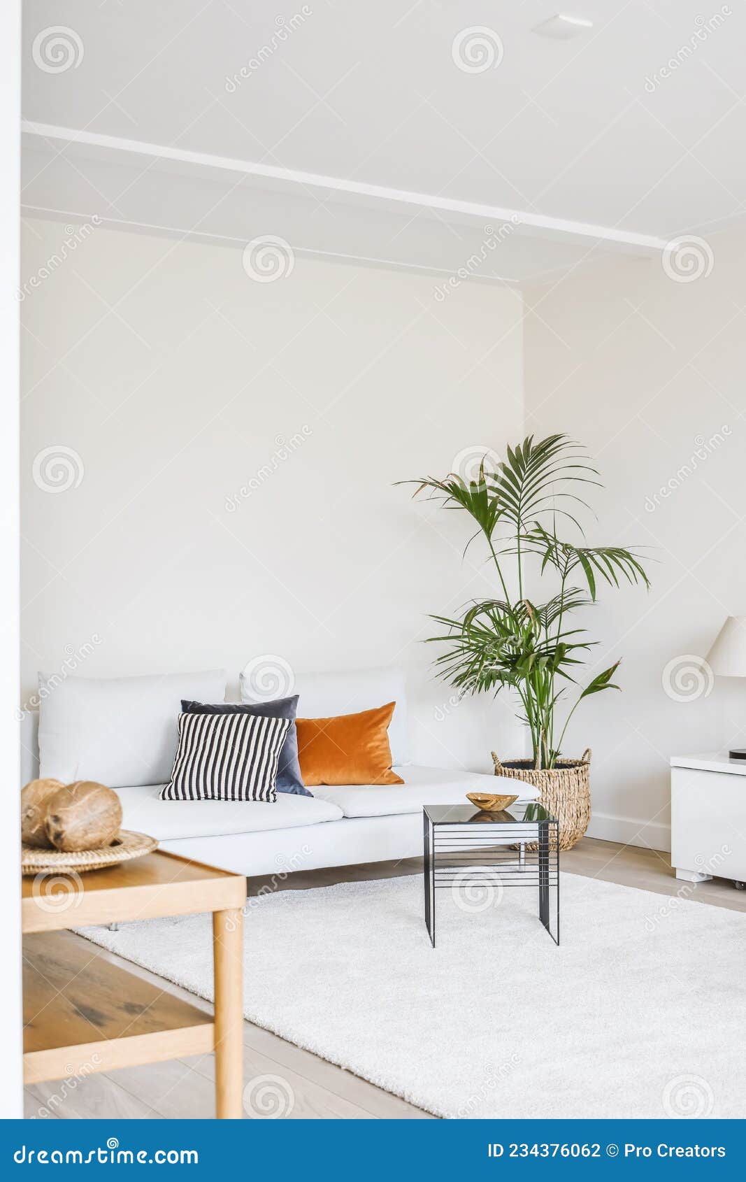 Stylish living room stock photo. Image of inside, elegance 234376062