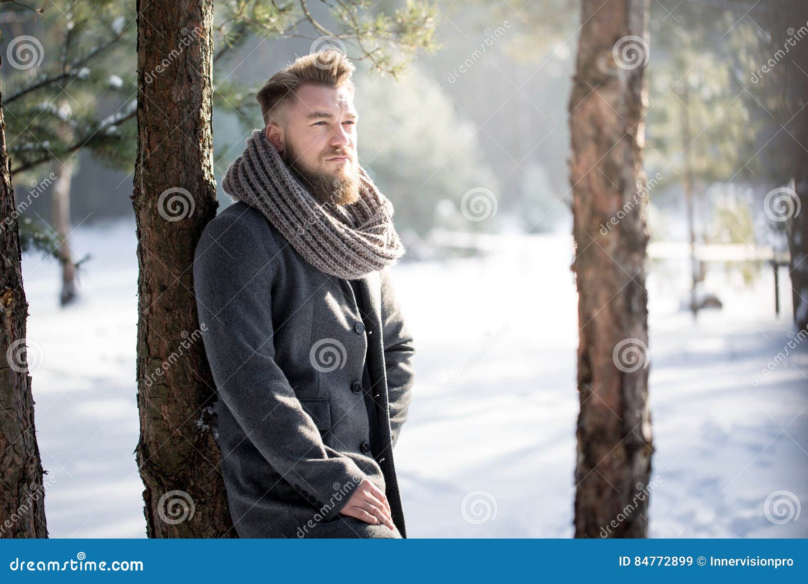 Stylish Man in Winter Scenery Stock Image - Image of confidence ...