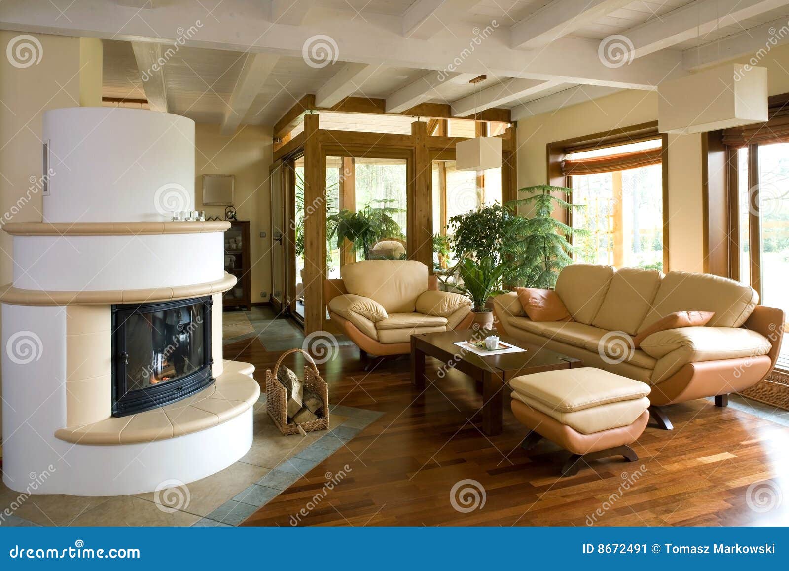 Stylish Modern Living Room. Stock Image - Image of residential