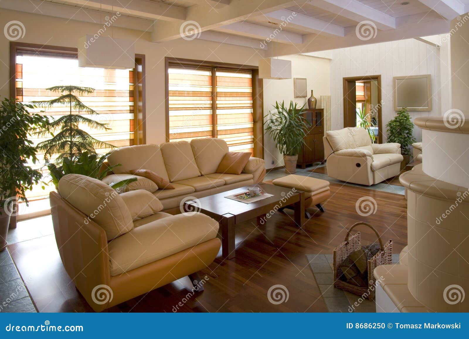 Stylish Modern Living Room. Stock Photo Image of modern, furniture
