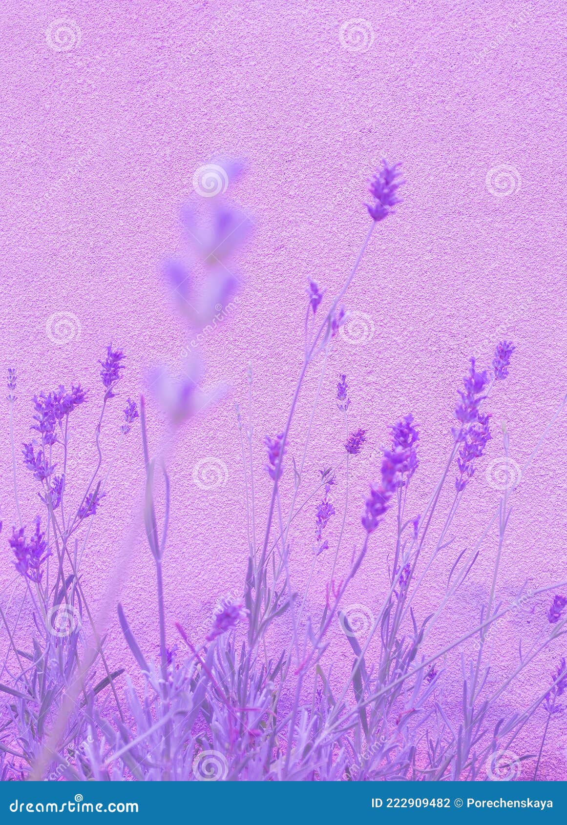1920x1080 Basket Of Lavender Purple Flower 1080P Laptop Full HD Wallpaper  HD Flowers 4K Wallpapers Images Photos and Background  Wallpapers Den