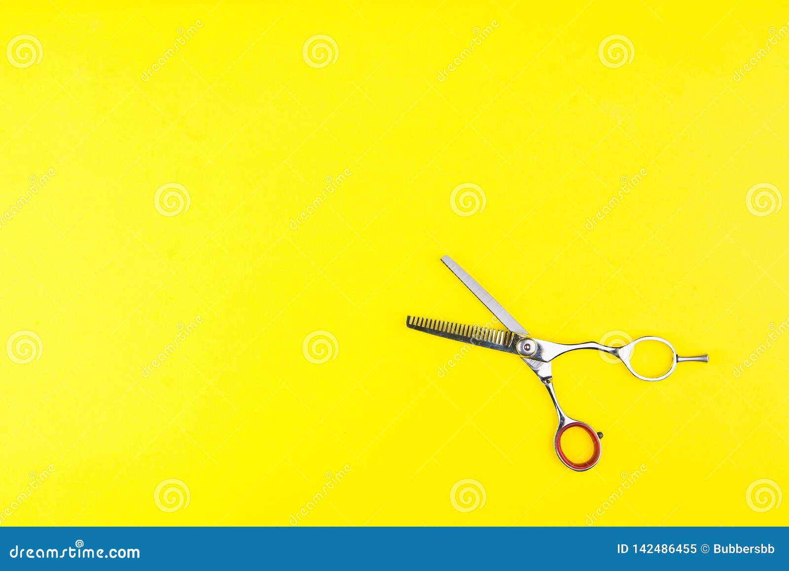 barber hairdresser
