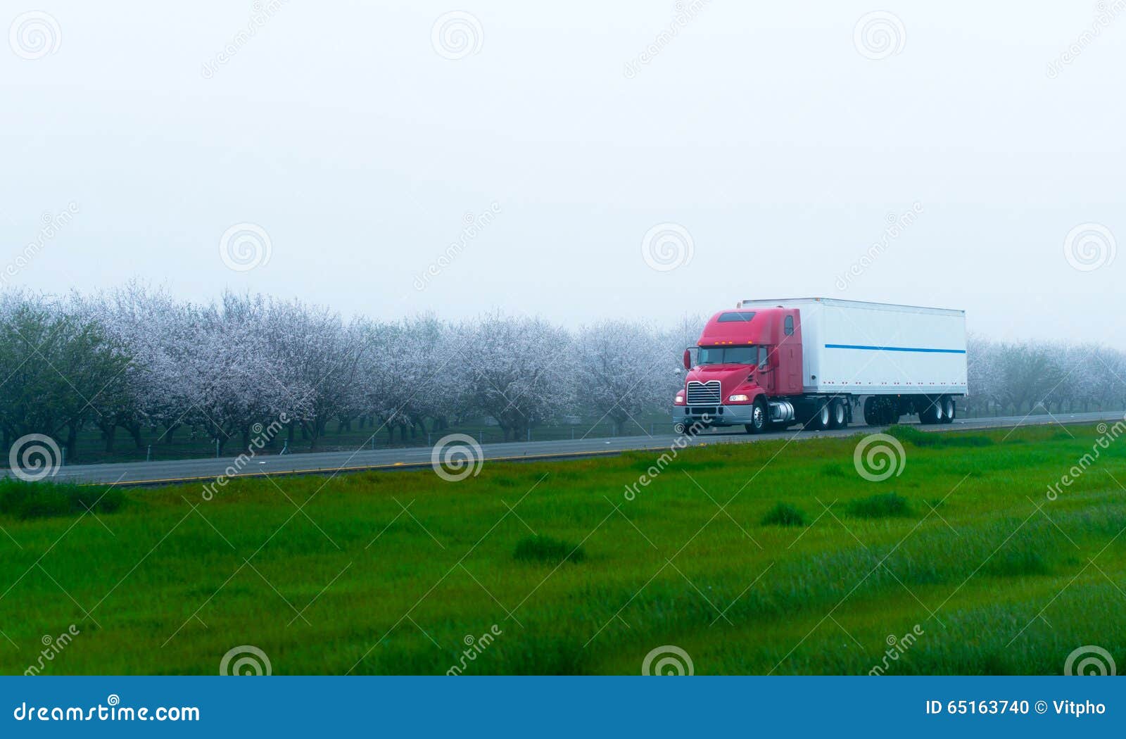 stylish semi truck and trailer on highway with blooming trees