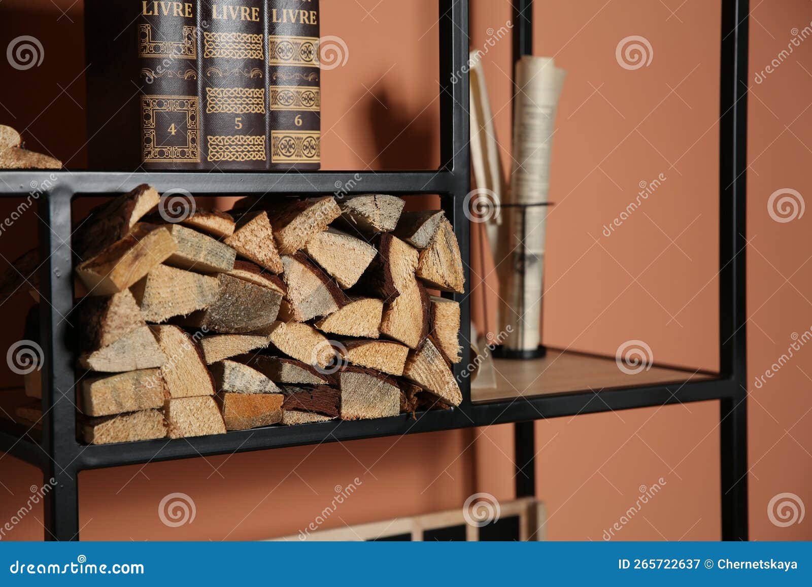 Stylish Shelving Unit with Decorative Elements Near Color Wall