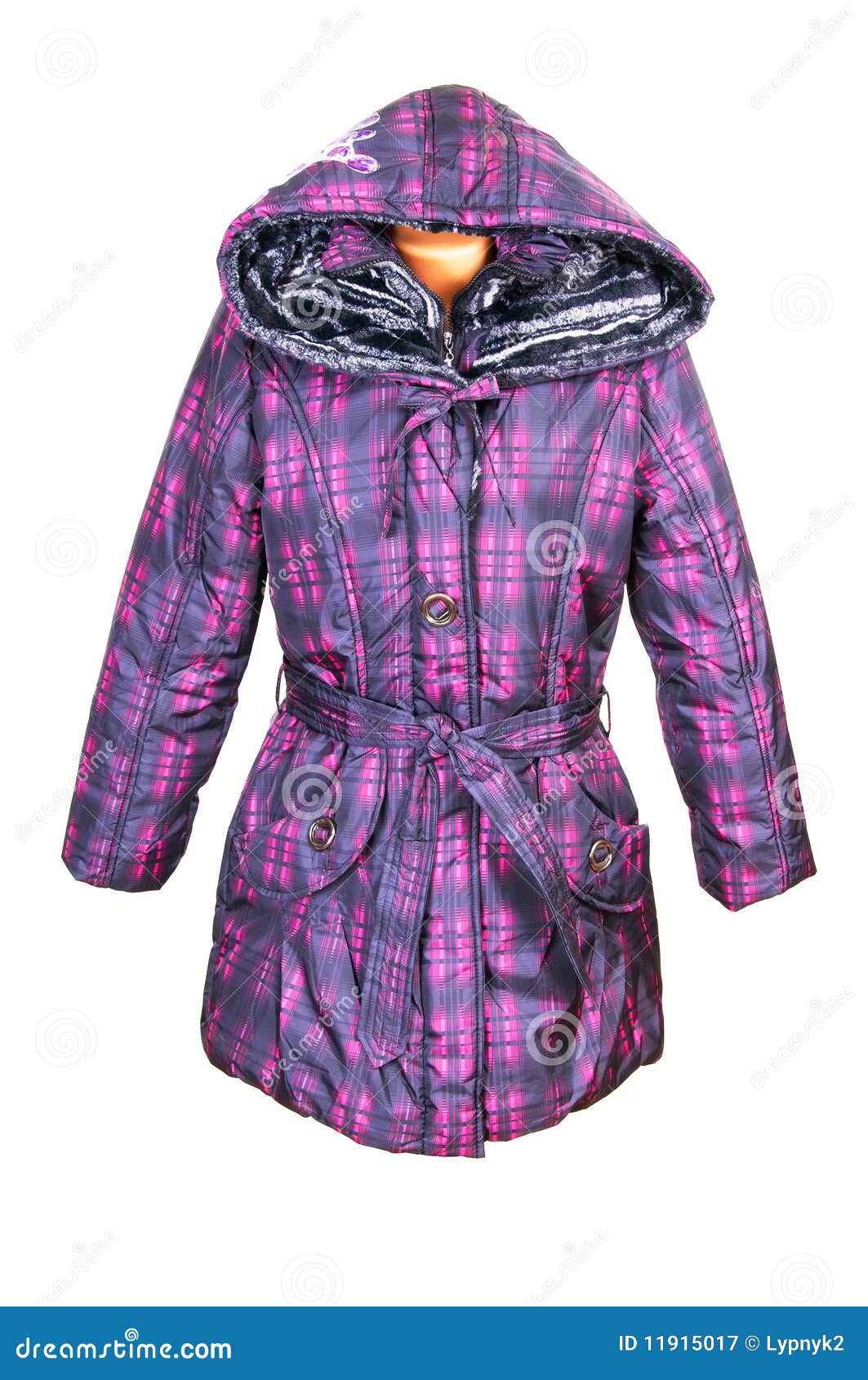 Stylish Winter Coat with Hood on a White. Stock Image Image of