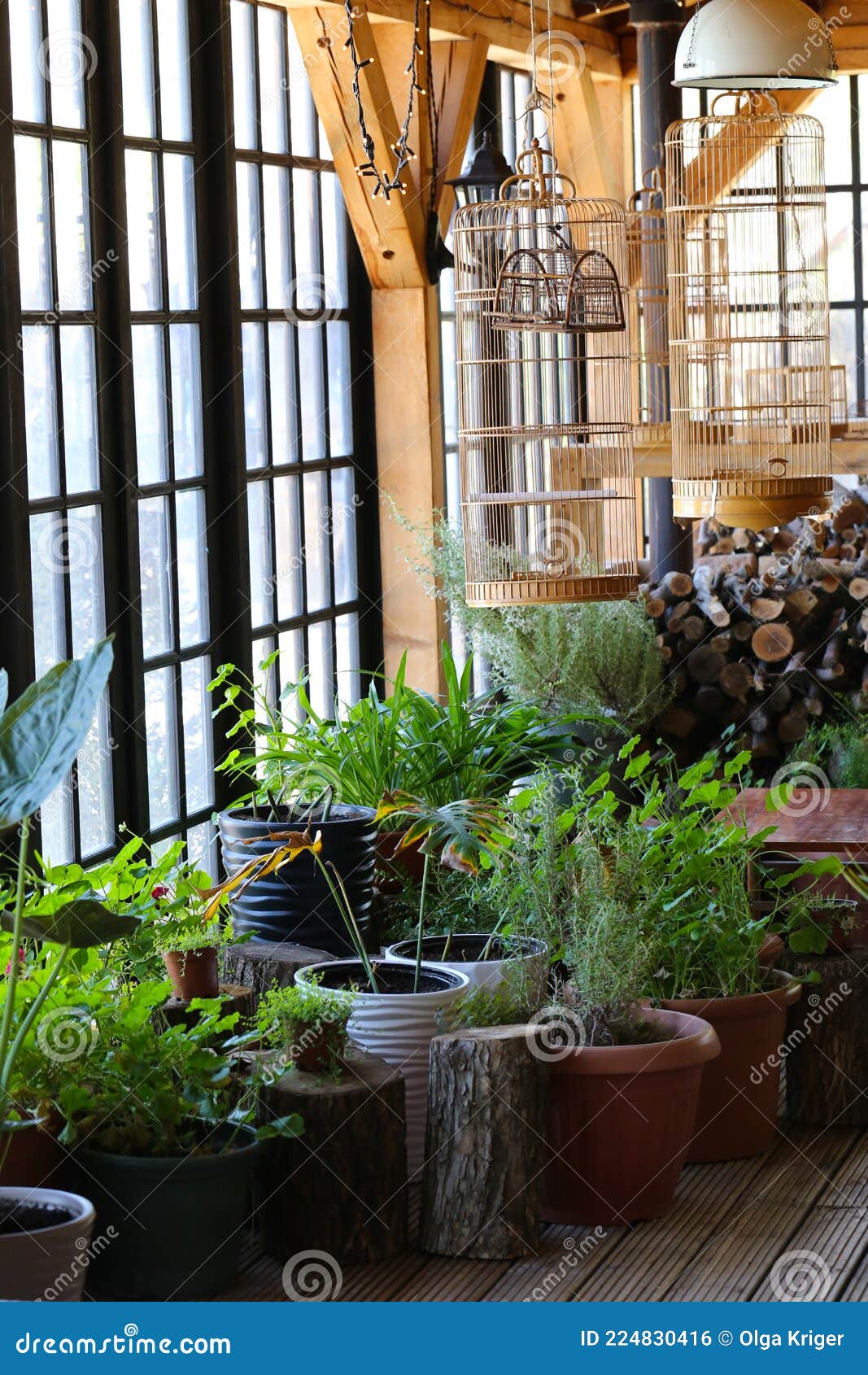 Stylish Winter Garden Gazebo Stock Photo Image of pavilion, modern