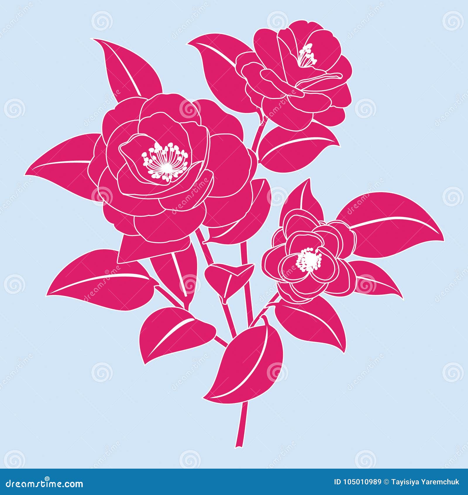 Stylized Camellia Flower. Vector Illustration. Stock Vector