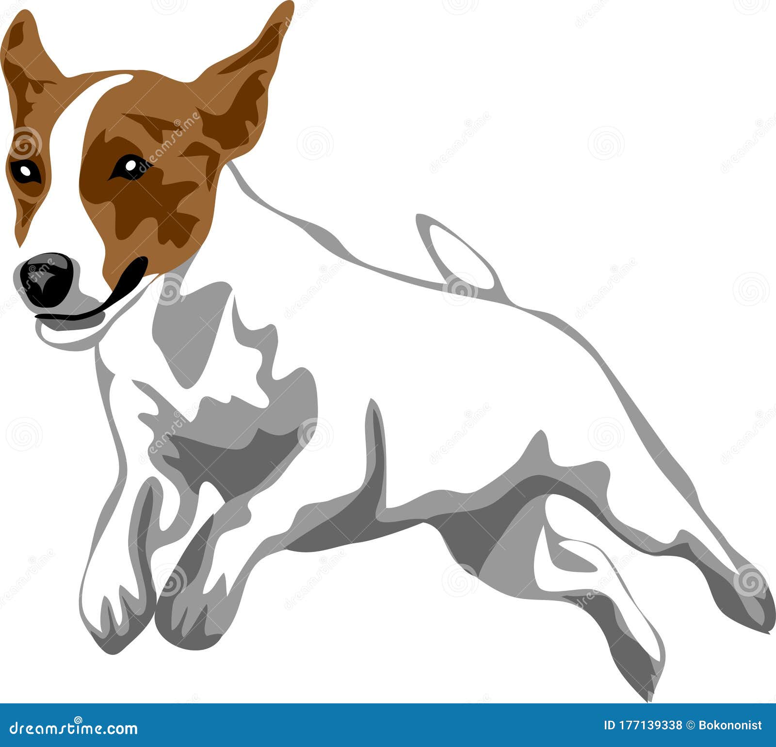 Jack Russell Terrier stock vector. Illustration of terrier 177139338