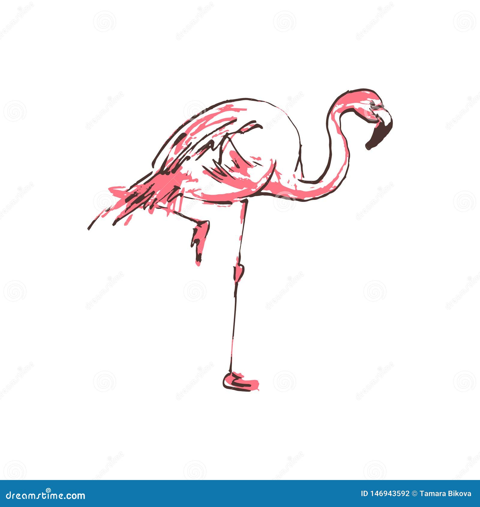Vögel, Schwan, Ente, Sparrow, Flamingo, Bru,: Stockillustration