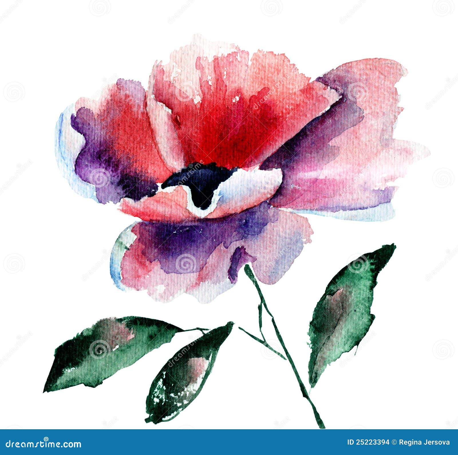 Stylized Poppy flower, watercolor illustration