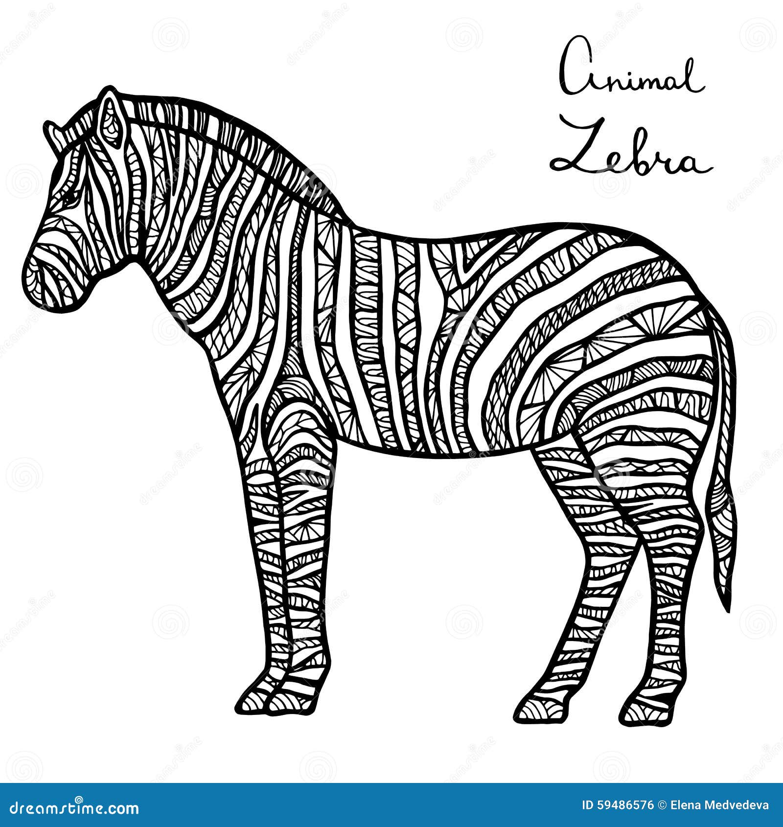 Download Stylized Vector Zebra, Zentangle Isolated On White ...