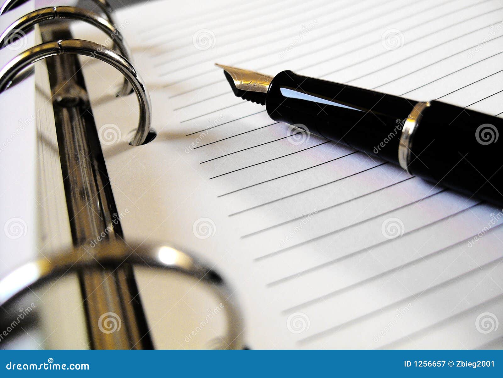 Stylo Plume Sur Un Cahier Image Stock Image Du Almanach