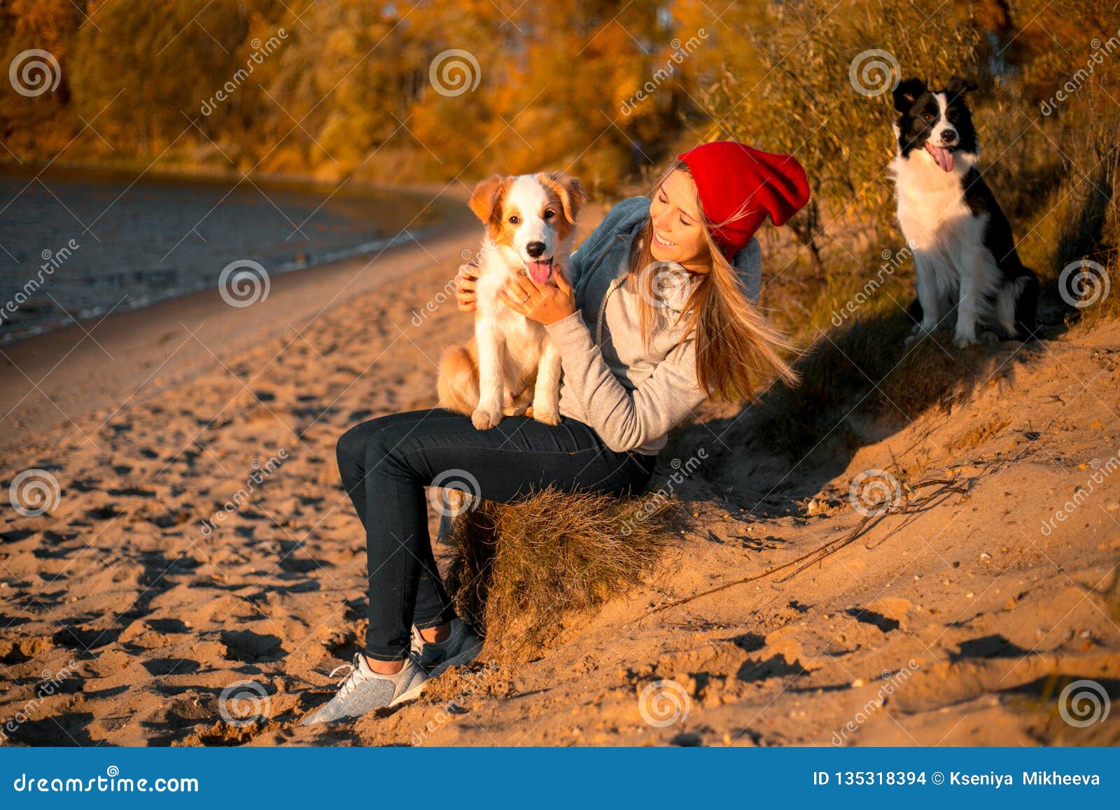 Stående av den gulliga lyckliga flickan med den roliga border collie hunden för två på stranden på sjösidan gul skog för höst på bakgrund