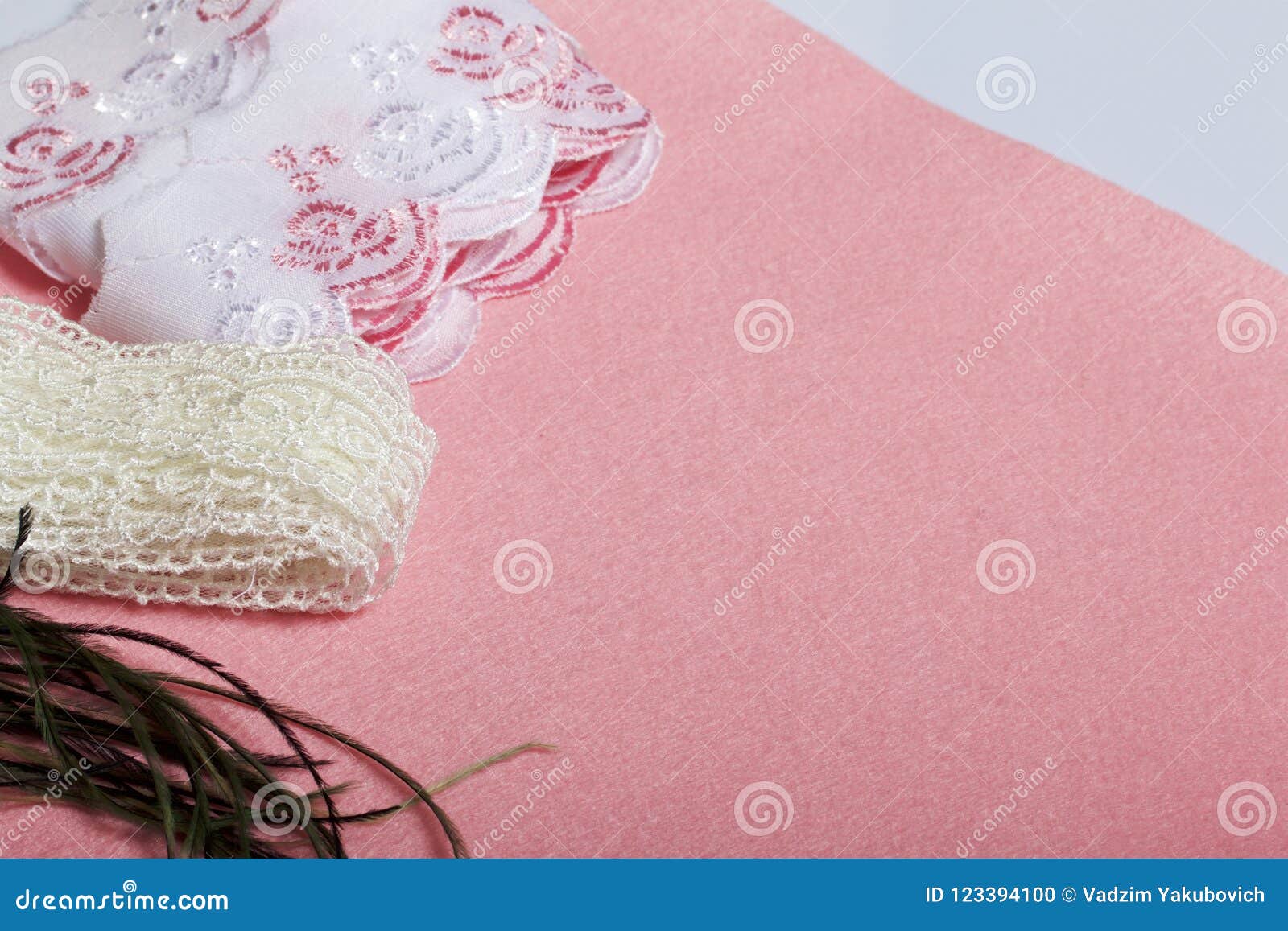 Subjects for Needlework. Cloth, Thread and Lace with Feathers. Stock ...