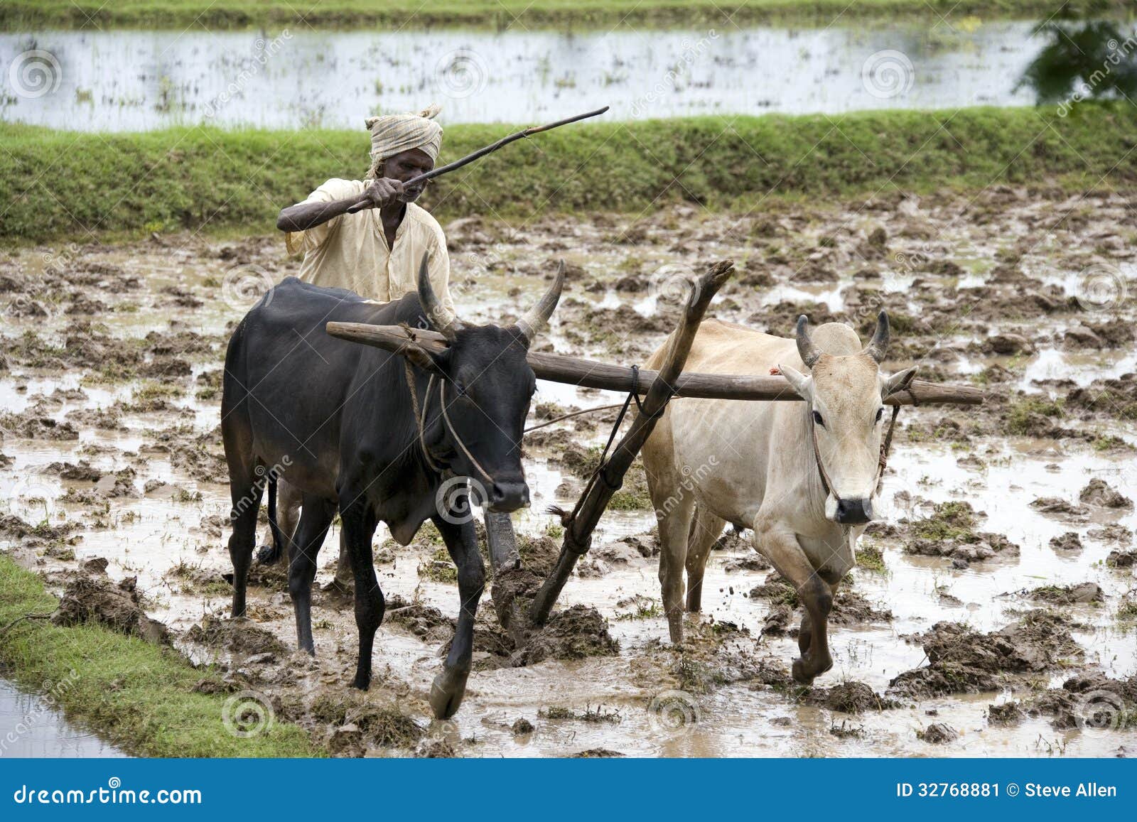 subsistence farming definition