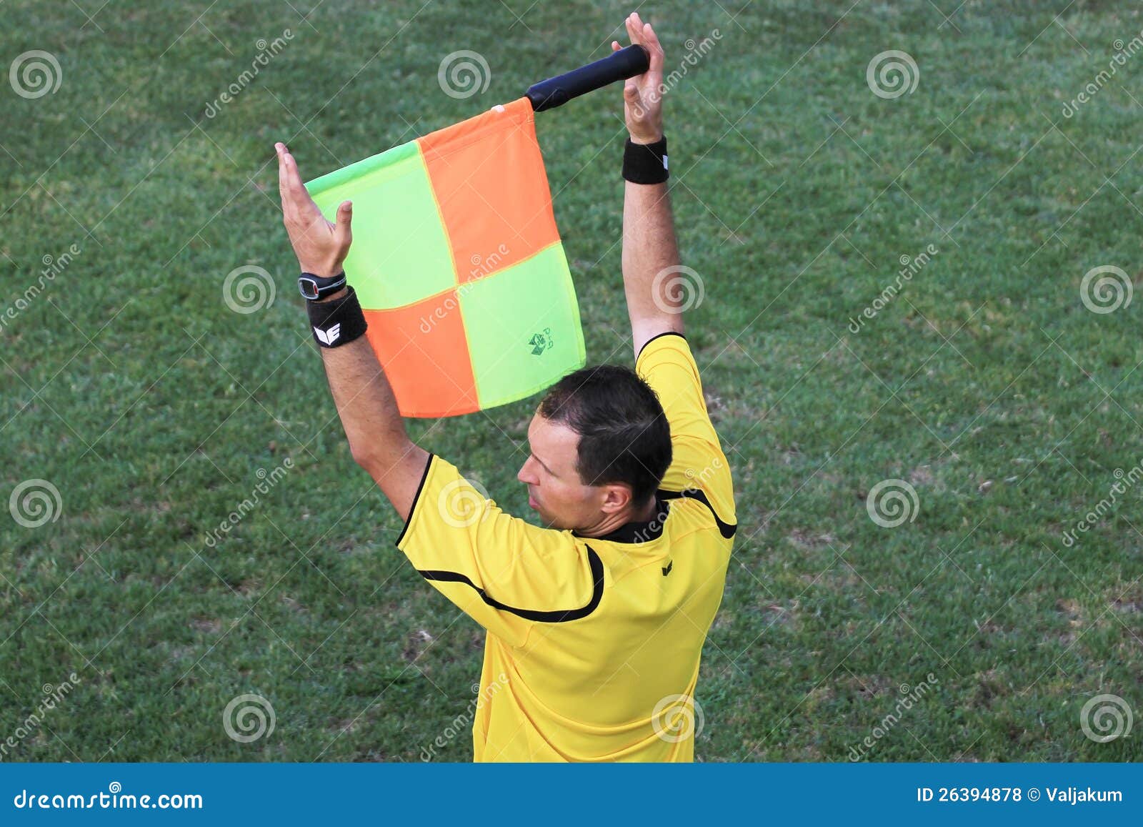 Difference Between Rival And Substitute Difference Between Rival And Substitute