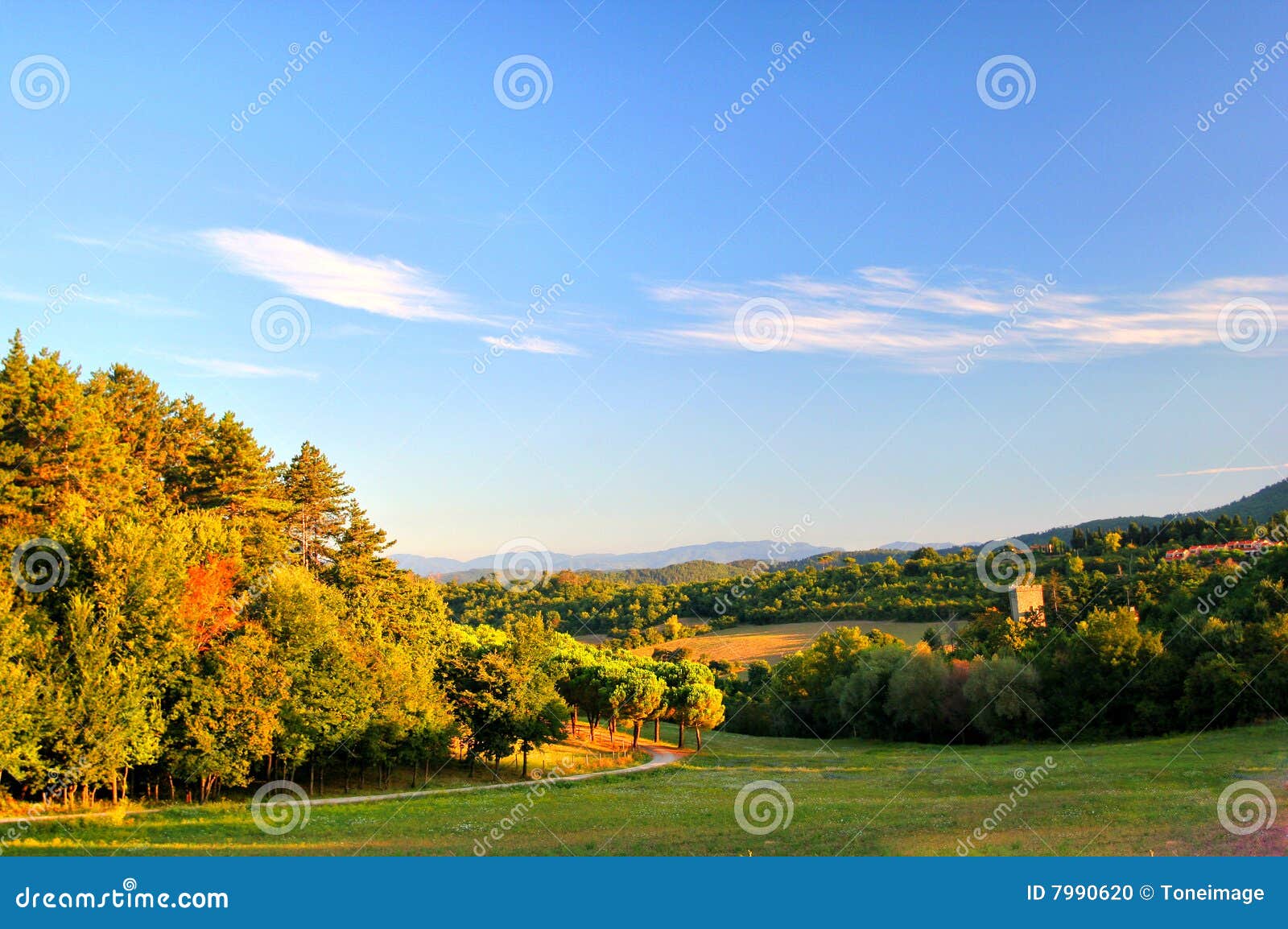 suburb landscape