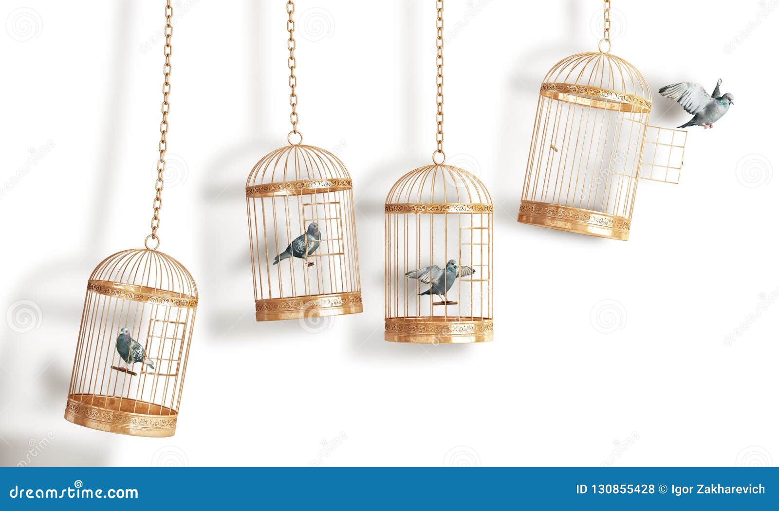 success concept. open bird`s cell isolation on a white background