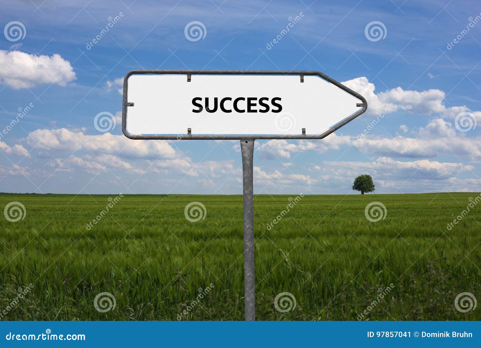 SUCCESS Image with Words Associated with the Topic MERITOCRACY, Word