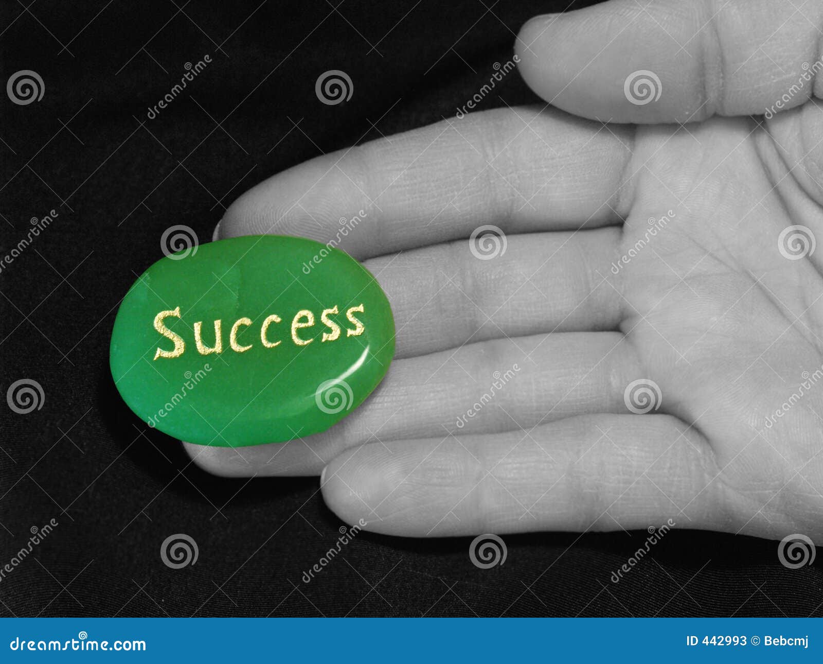 success at your fingertips