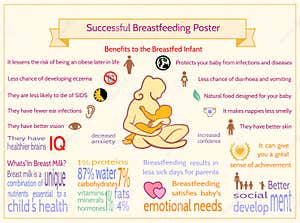 Successful Breastfeeding Poster Maternity Infographic Template 