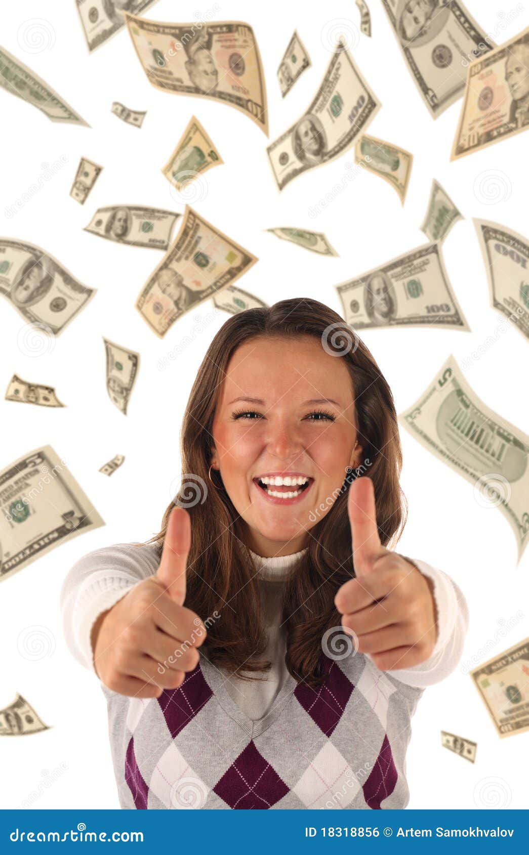 Successful Investment (dollars Banknotes) Stock Photo Image of