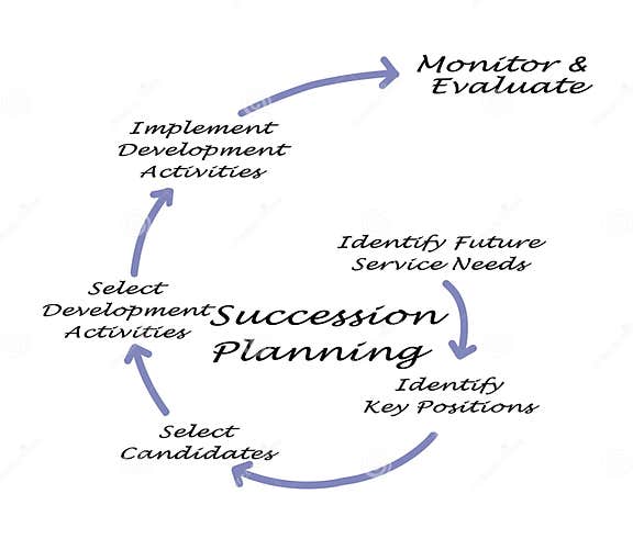 Succession Planning Process Stock Illustration - Illustration of