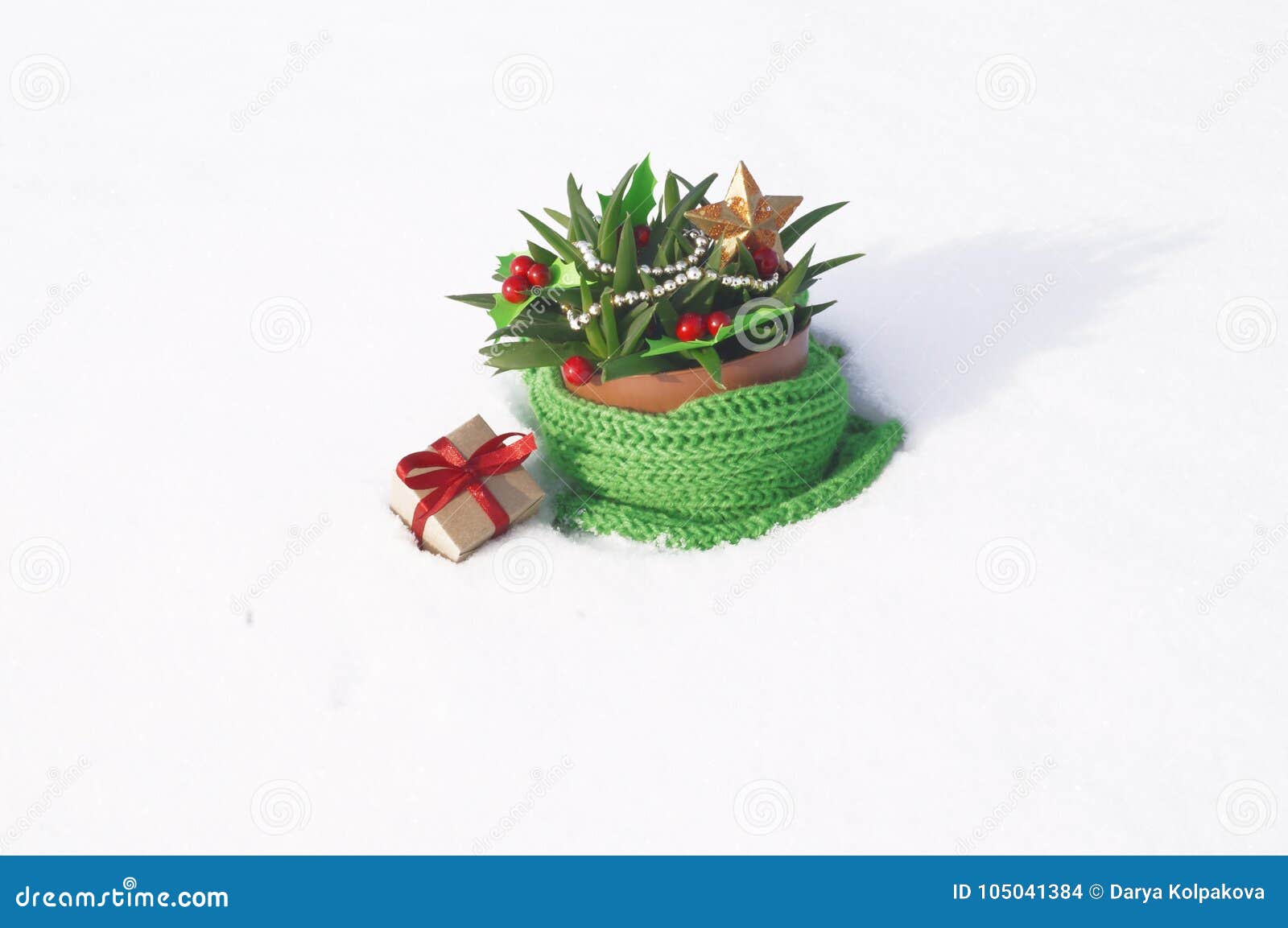 Succulent decorated like a Christmas tree standing in the snow The cactus tree