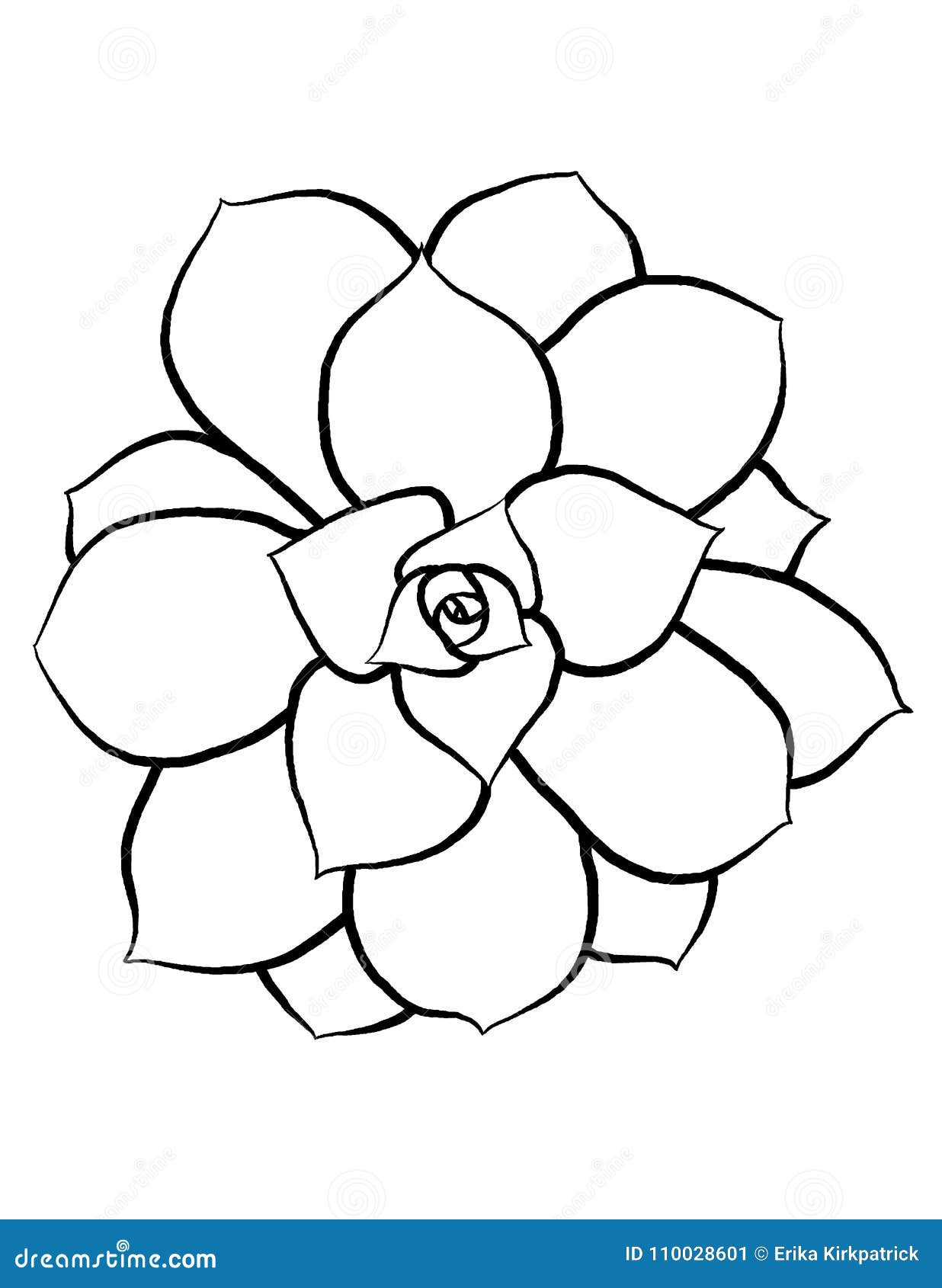 Featured image of post Outline Succulent Line Drawing Higher numbers draw heavier lines