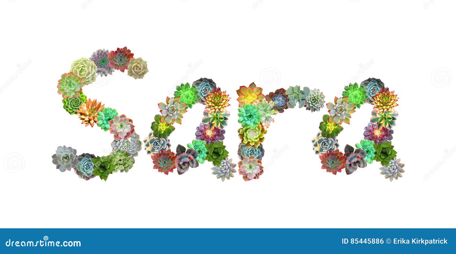 Name Sara Stock Illustrations 19 Name Sara Stock Illustrations Vectors Clipart Dreamstime Name Sara Stock Illustrations 19 Name Sara Stock Illustrations Vectors Clipart Dreamstime