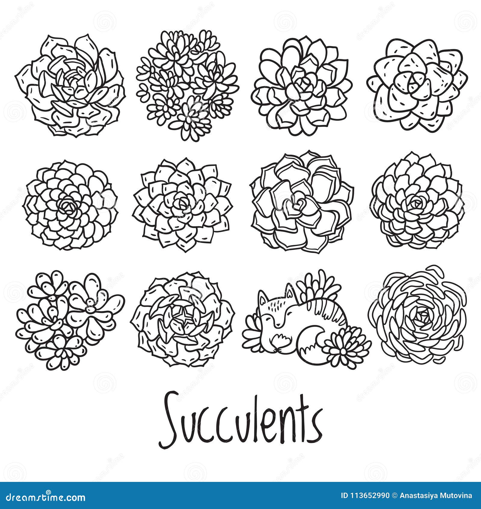Succulent Outline Design With Cat In Cartoon Style. Ideal For Coloring