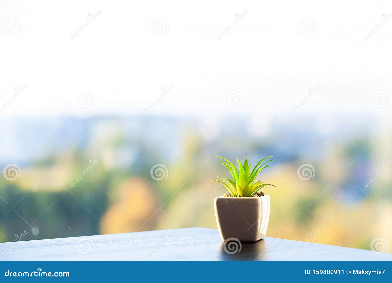 Succulent Plant on Window Ledge in Modern Bedroom Stock Image Image