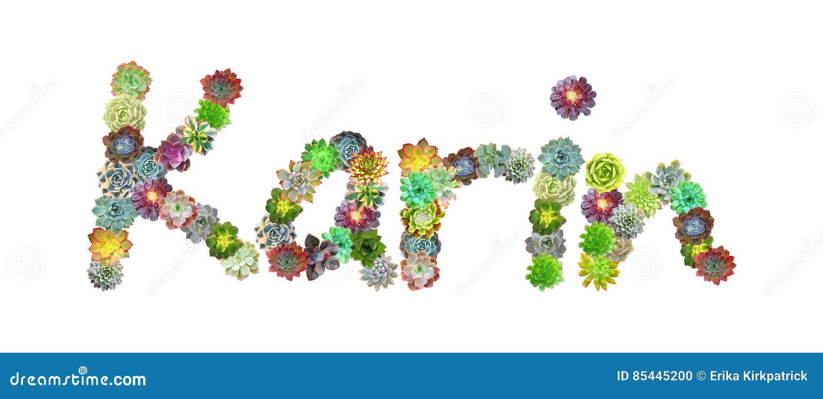 Succulente Naam Karin stock illustratie. Illustration of verjaardag