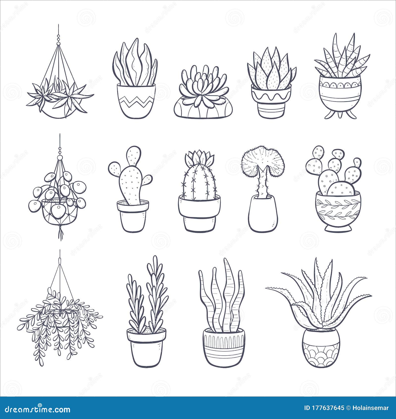 succulents and cactus doodle collection