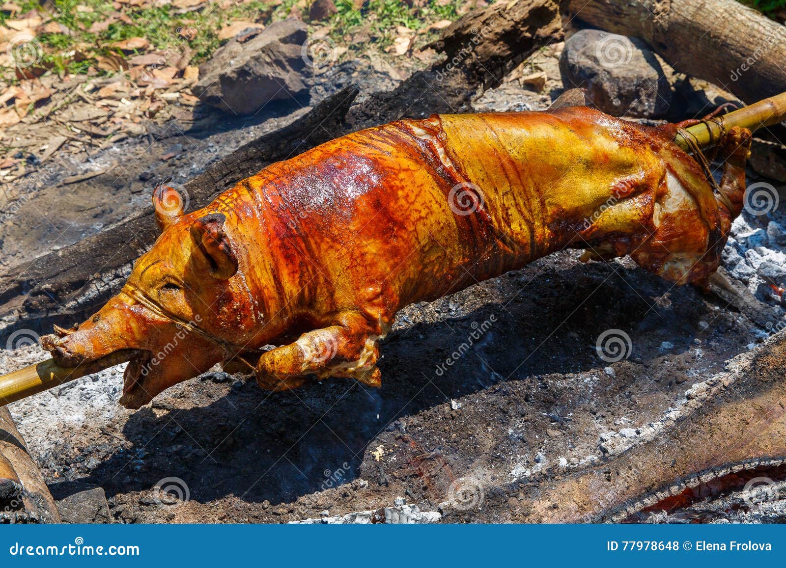 Suckling Pig Roasted On The Fire. Filipino Food Lechon 