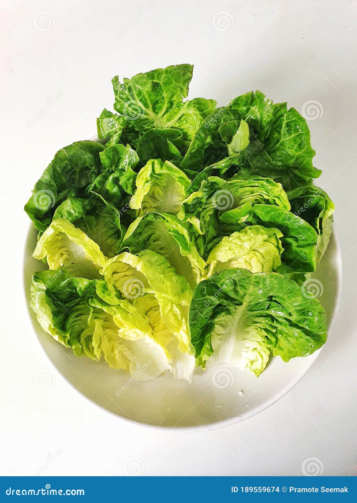 Sucrine Lettuce, Sucrine Salad in the Bowl Stock Photo - Image of crop