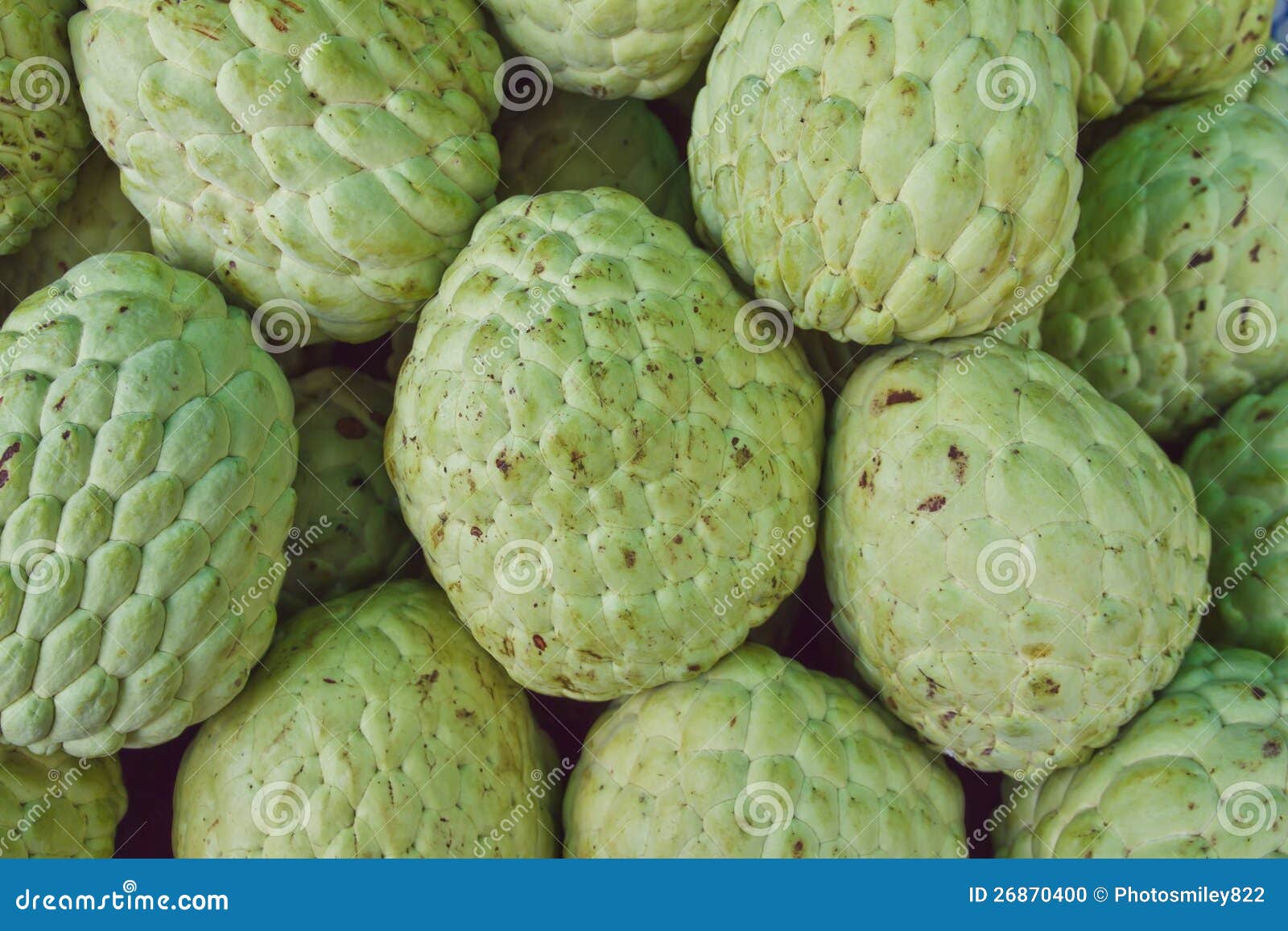 Sugar apple stock photo. Image of asia, color, tropical 26870400