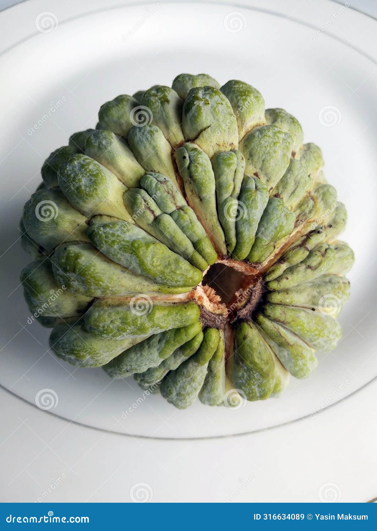 sugar-apple indonesia