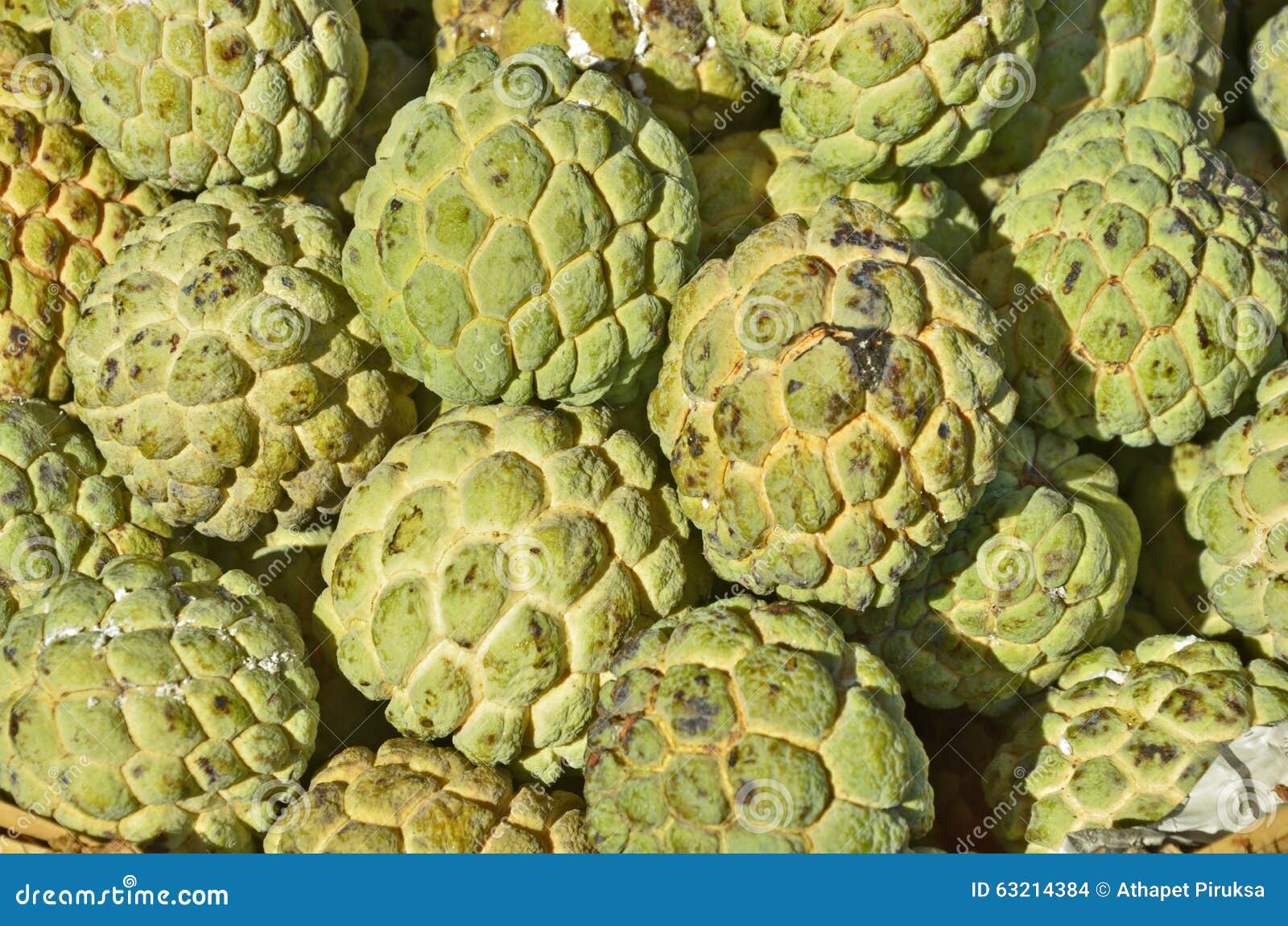 Sugar apples for sale stock photo. Image of sale, farm 63214384