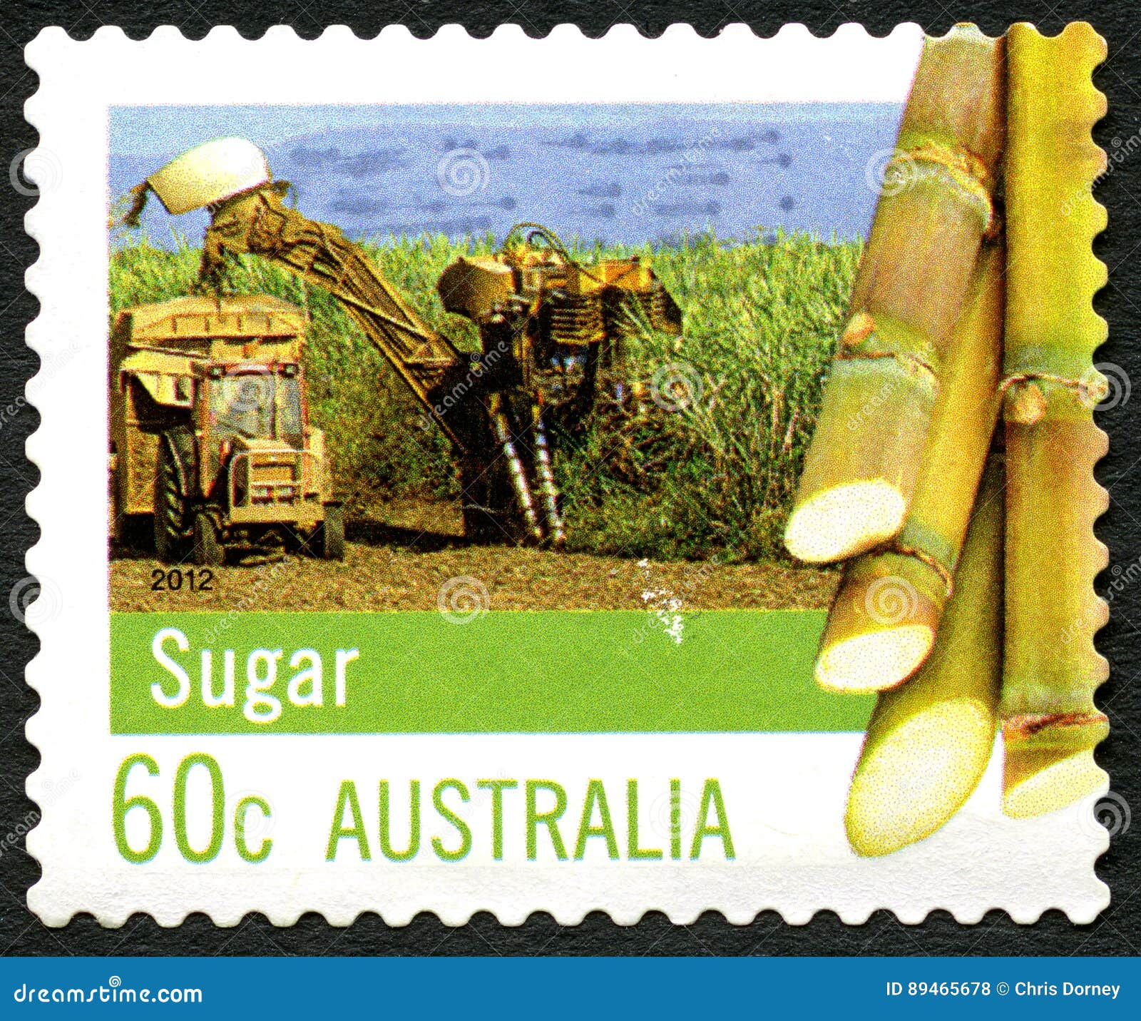 Sugar Australian Possum Red, Apple, Juicy, Tasty, Protein, RoyaltyFree