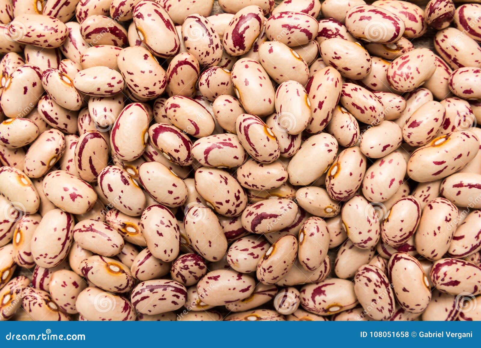 sugar bean legume. closeup of grains, background use.