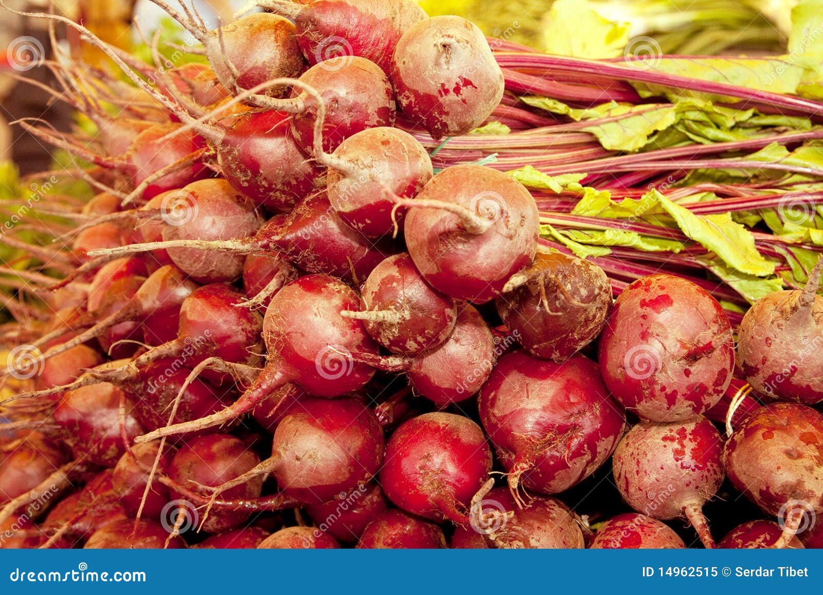 What is the title of this picture ? Sugar beet stock image. Image of vegetable, beet, root - 14962515