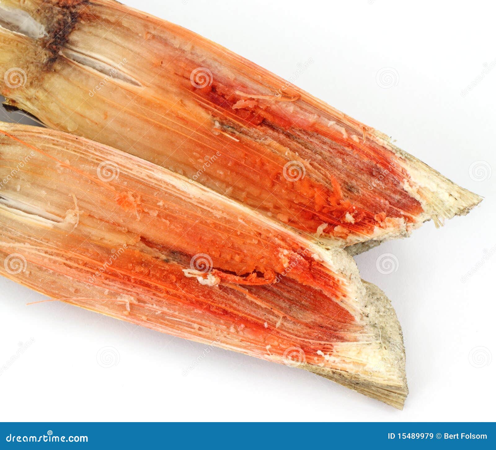 Sugar cane ends stock image. Image of halved, food, segments 15489979