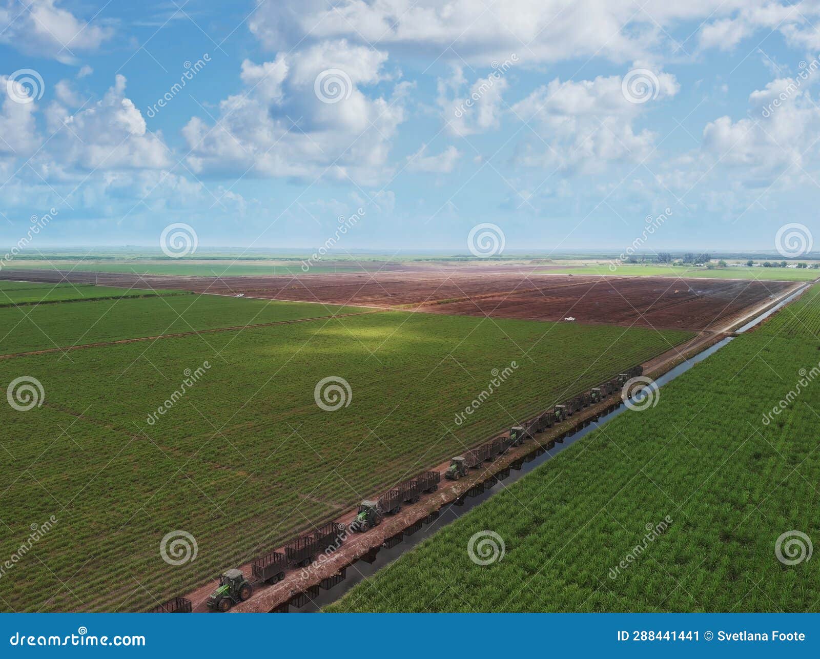 Sugar Cane Fields with Tractors in Florida. Aerial View Stock Image Image of aerial, flight