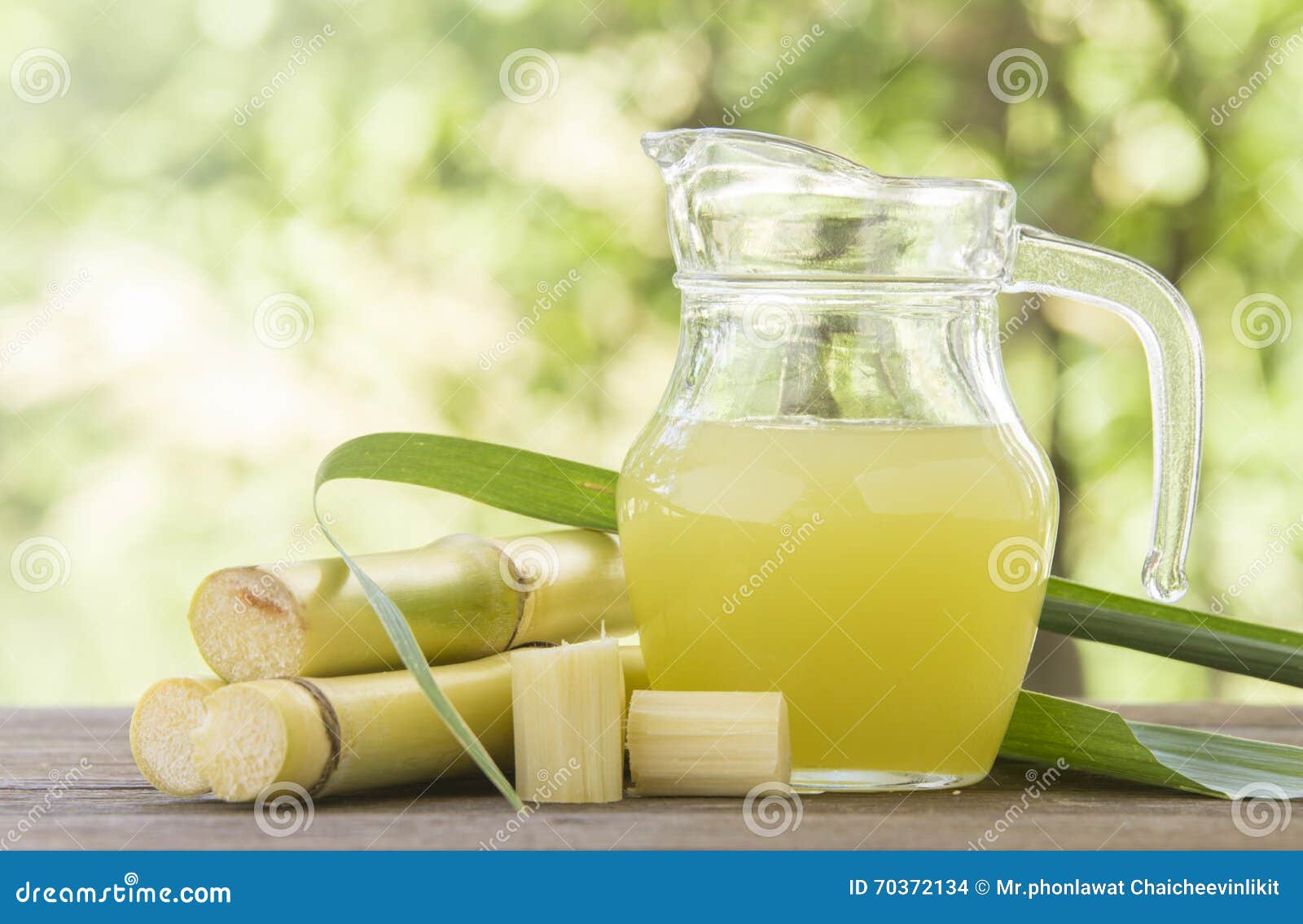 Sugar Cane Plantation Close Up In Gran Canaria Spain Royalty-Free Stock ...