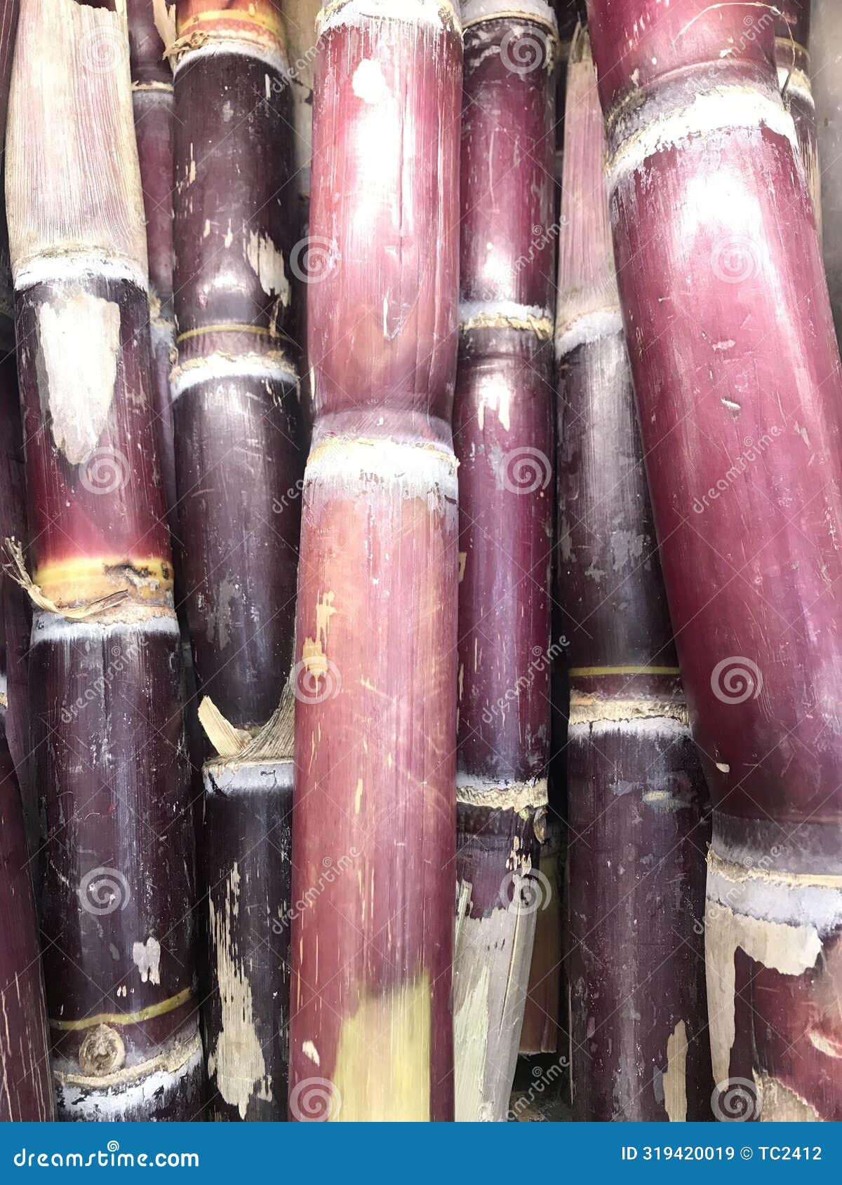 Sugar Cane for Sale in the Market. Stock Image Image of agribusiness