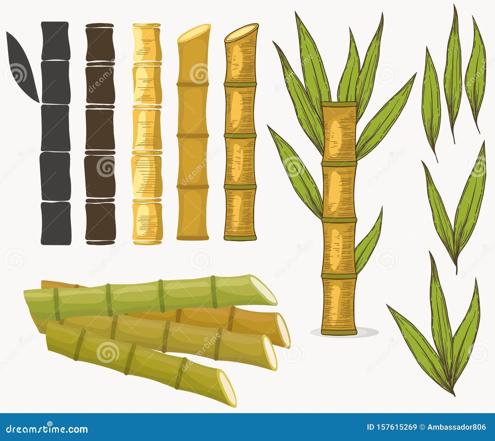 Featured image of post Sugarcane Drawing With Colour Polish your personal project or design with these sugarcane transparent png images make it even more personalized and more attractive